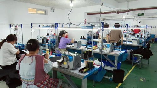 商州 小小制衣廠 就業(yè)大舞臺(tái)