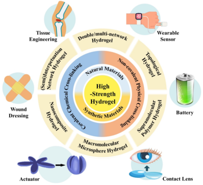 西工大黃河源、王文智/西安交大趙鑫 Nano Res.:高強度水凝膠的制備策略、增強機制與未來挑戰(zhàn)